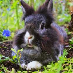 Profilbild von stevenebuat
