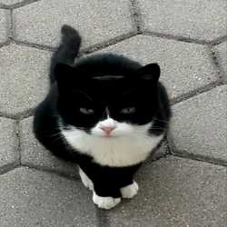 Profilbild von lexmarkz13