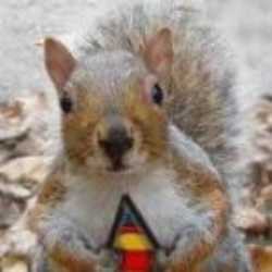 Profilbild von hoernchen