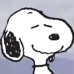 Profilbild von dmw61