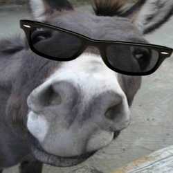 Profilbild von macmilan
