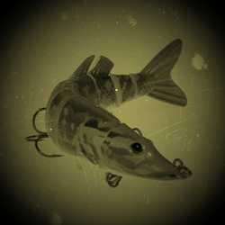 Profilbild von Hardbaits