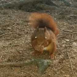 Profilbild von Gwenny116