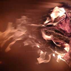 Profilbild von Firegirl002