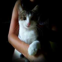 Profilbild von paule
