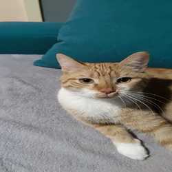 Profilbild von Lizzy