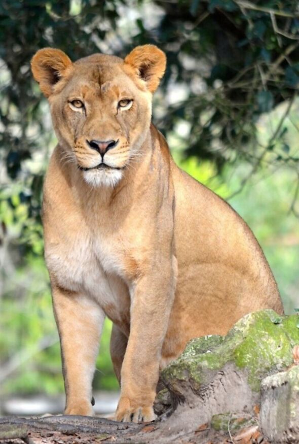 Anhang zu Kommentar von Sanne91