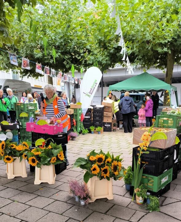 Anhang zu Kommentar von cashqueen