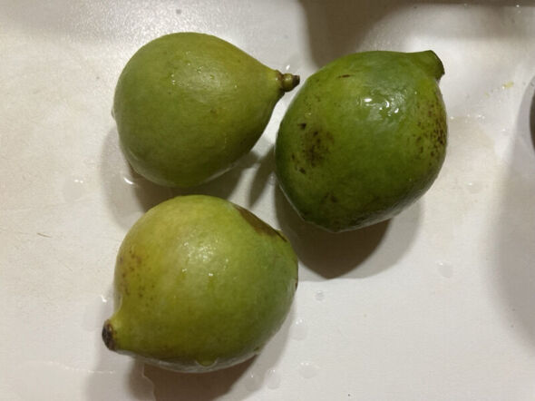 Anhang zu Kommentar von Pompon