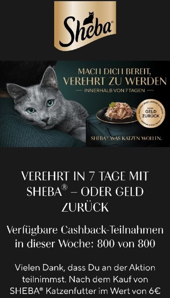 Anhang zu Kommentar von Xandela18