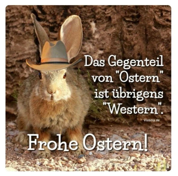 Anhang zu Kommentar von wauzzzi