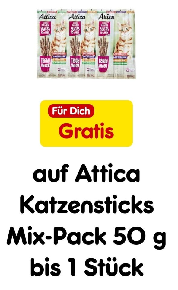 Anhang zu Kommentar von Allini