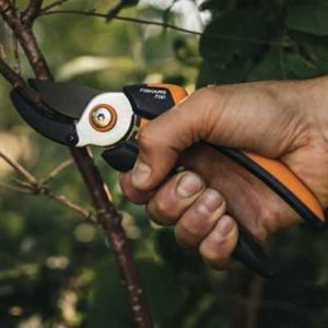 [Prime] Fiskars Amboss-Gartenschere P361 (antihaftbeschichtet, Edelstahl-Klingen, Länge: 20,1 cm) für 15,39€ (statt 20€)
