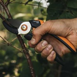 [Prime] Fiskars Amboss-Gartenschere (antihaftbeschichtet, Edelstahl-Klingen, Länge: 20,1 cm) für 13,10€ (statt 17€)