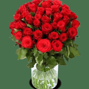 Blume Ideal 33 rote Rosen (40-50cm) für nur 19,99€ (statt 34,99 €) + 6,99€ VSK