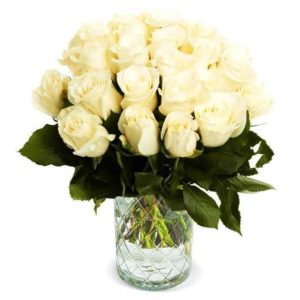 🤩 40 weiße Rosen (40cm) für 19,95€ + 5,95€ VSK