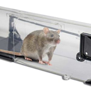 DealClub: 2x riijk Tierfreundliche Mausefalle– Lebendfalle für Mäuse (€12,98 statt €19,99)