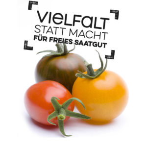 Gratis Tomatensamen von der Heinrich Böll Stiftung.