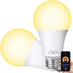 Alexa_Smart_LED_Lampen_E27_WLAN_Glu_hbirne_Dimmbar_10W_Warmwei_Licht_Timing_Funktion_Kompatibel_mit_Amazon_Alexa_Echo_Echo_dot_Google_Home_Kein_Hub_Erforderlich_2700K_Birne_2_Stu_ck_