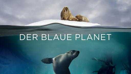der blaue planet stream der blaue planet stream