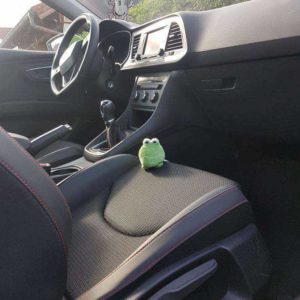 Kleines Plüschtier Kuscheltier kostenlos: Frosch (Bott-Frosch)