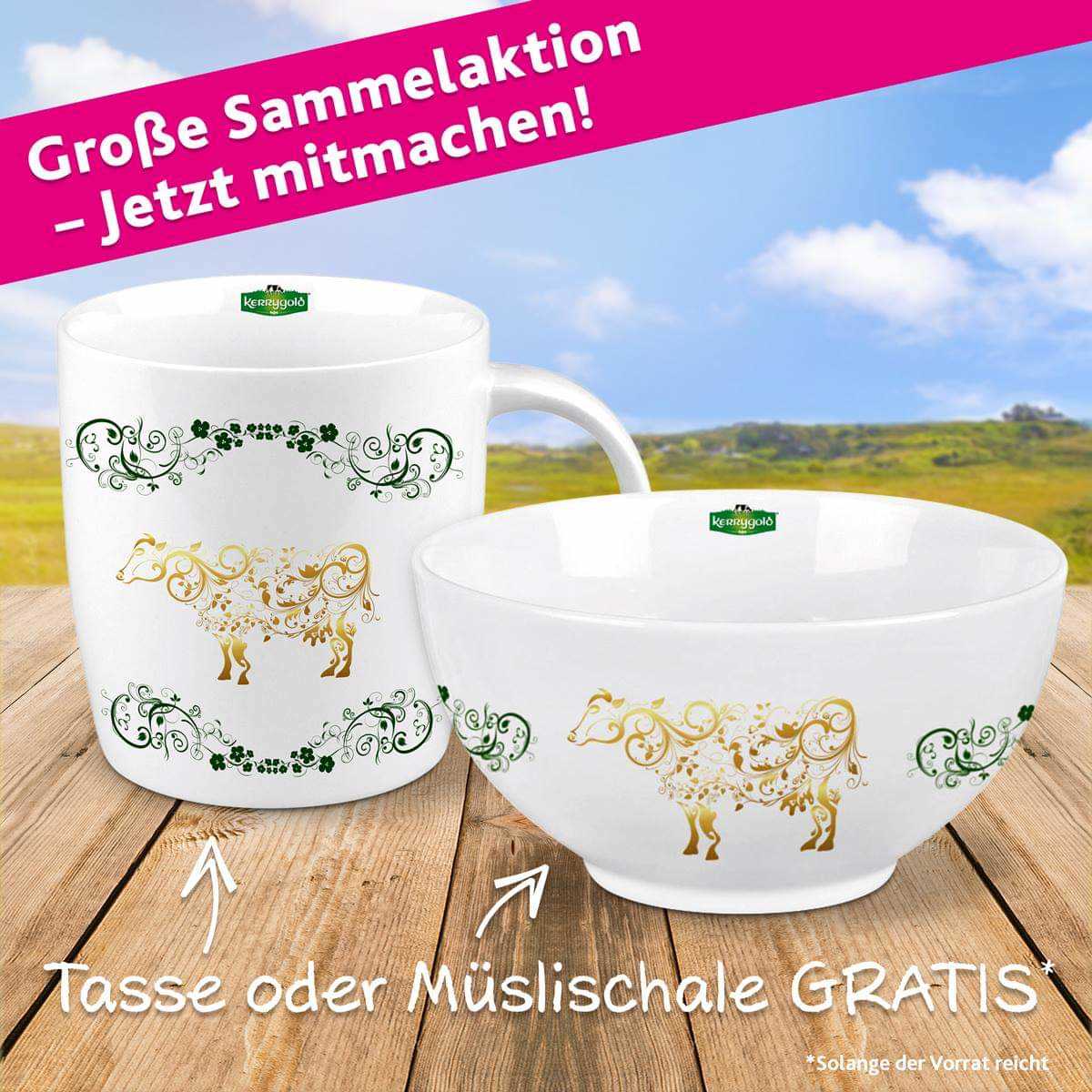 Tasse Oder Muslischale Gratis Beim Kauf Von 15 Kerrygold Artikeln Porto