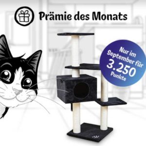 Felix Club: Kratzbaum für nur 3.250 Punkte (statt 4.500)