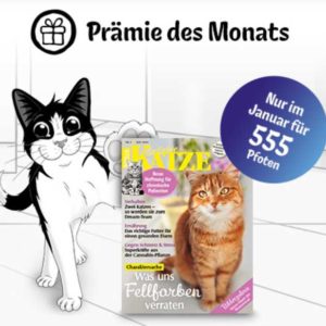 Felix Club: Jahresabo Geliebte Katze für nur 555 Punkte (anstatt 800)