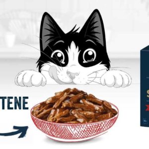GRATIS "FELIX® Tasty Shreds" testen durch GzG vom 01.12.20-28.02.2021