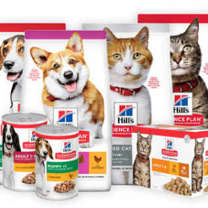 medpets.de: 15% Rabatt auf Hunde- & Katzenfutter von Hill&#039;s Science Plan / zweite Rabattaktion 5% Rabatt auf Leckerlis & Spielzeug