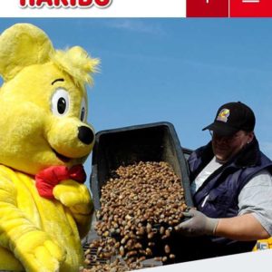 12.+13.10.: Haribo Kastanientauschaktion (10:1 Kastanien gegen Haribo) 2018 in 53501 Grafschaft