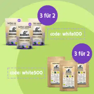Koawach_White