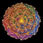 Mand_RS_1_540x_clipped_rev_1_576x
