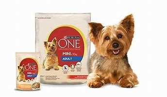 purina one small dog