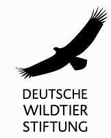 DWS: verschiedene Poster und Ausmalbilder über unsere Wildtiere gratis anfordern