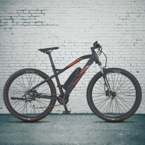 PROPHETE_E-Mountainbike_Graveler_29_Zoll