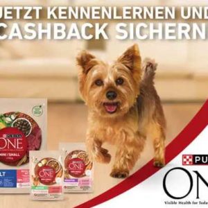 Purina ONE Mini Gratis Testen (bis zu 6€) bis zum 18.11.2023