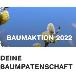 GRATIS Weidenbaumsetzling kostenlos abholen und pflanzen bei Baumaktion 2022 von Blume2000