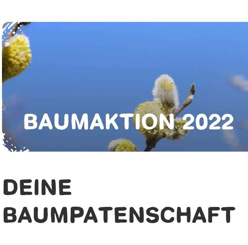 GRATIS Weidenbaumsetzling kostenlos abholen und pflanzen bei Baumaktion 2022 von Blume2000