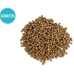 Screenshot_20230510-085326_Chrome_01-2