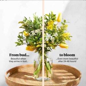 Feder Tulpen oder Ellen (Kreativ-Box) für nur 10,00€ inkl. Versand statt 25,00€ inkl. kostenloser Grußkarte bei Bloom & Wild