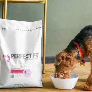 GRATIS personalisiertes Trockenfutter My Perfect Fit™-Sortiment für Hunde/Katzen bis 30€ bis 30.04.22 für Haustierprofil-Quiz  (Neukunden)