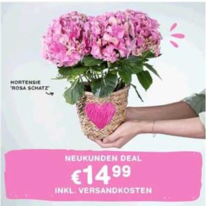 Unbenannt-4215