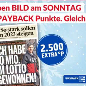 bild_am_sontag