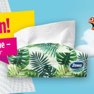 GRATIS Zewa Wisch&Weg Quick Pack Küchentücher (1x75 Blatt) testen durch GzG
