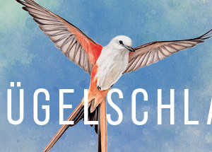 Steam: WINGSPAN (FLÜGELSCHLAG)