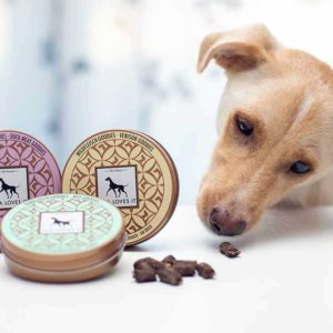 10% Rabatt auf alles bei Lila Loves It - Hundenahrung -& accessoires