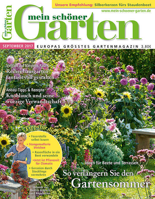 Mein Schoner Garten Als Epaper 2 Monate Gratis Abo Endet