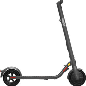 Segway Ninebot Kickscooter E22D in Grau