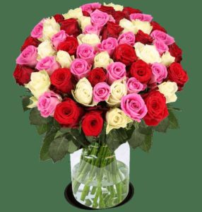 rot-pink-wei_C3_9F